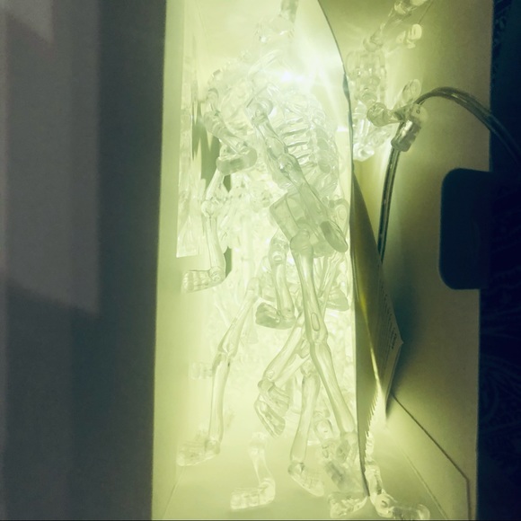 Pier 1 Halloween Skeleton Glimmer Strings Lights 10’ 7 in 1 Function Glam - Picture 13 of 15